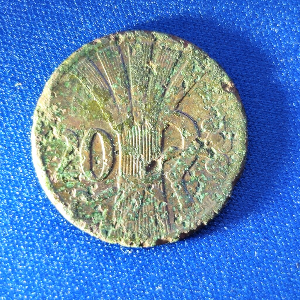 20 Haléřů 1924 - les